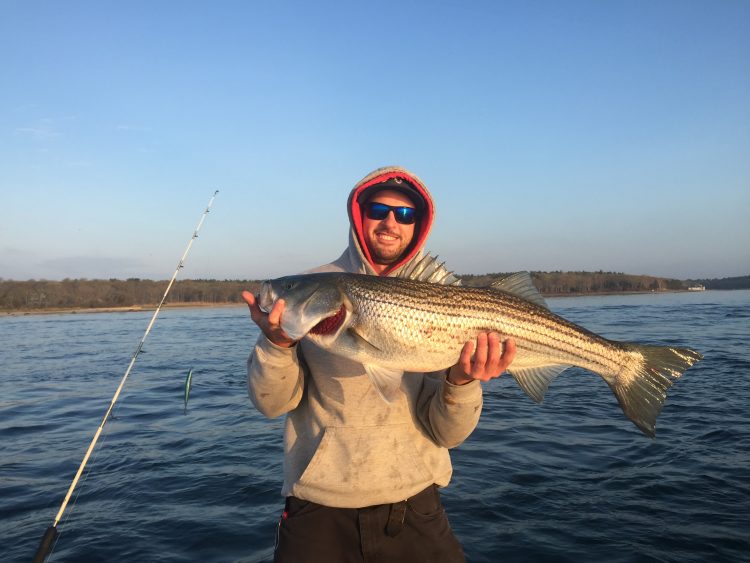 Tim Moukalled caught this healthy early-season striper fishing out of Taylor Marina last Sunday. 