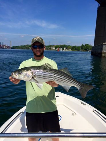 Pierce Howell caught this 33" striper this morning in the Piscataqua River