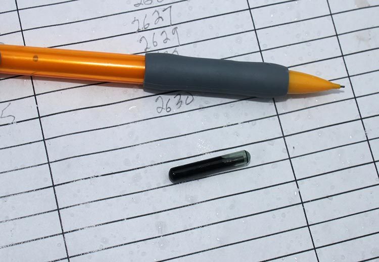 Closeup of passive instrument transponder