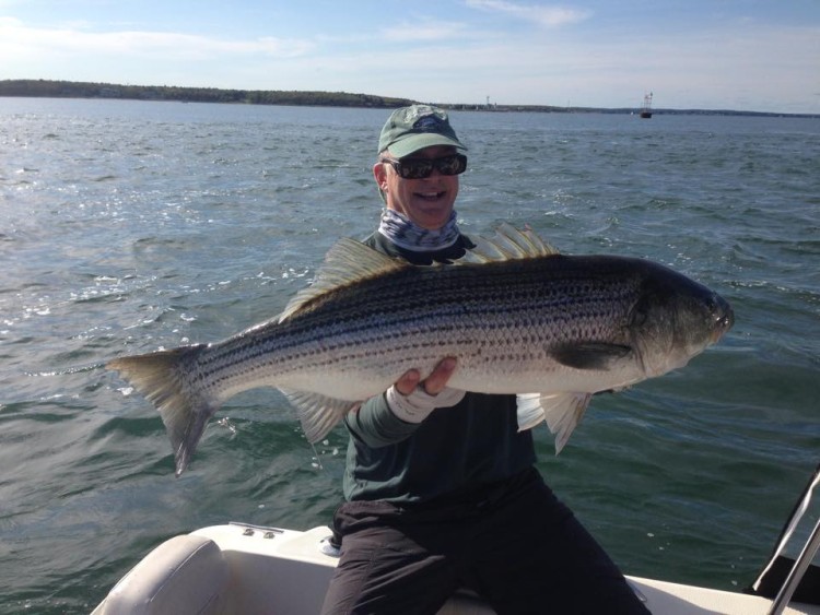 Brett Lincoln caught this 40-inch Cape Cod striper while trolling a squid imitation.