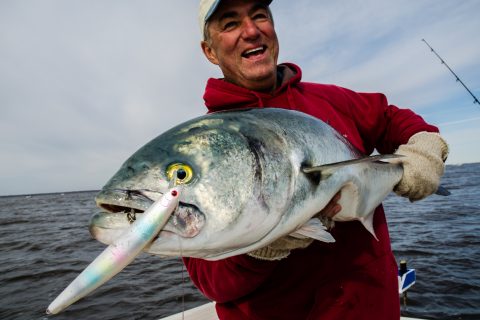 VIDEO: Insane Bluefish Blitz