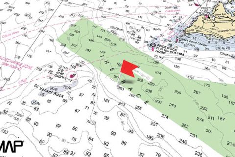 C-MAP Featured Hotspot: The Race