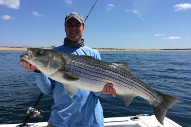 Matt McDonald of Maynard caught this big Race Point striper by live-lining mackerel.
