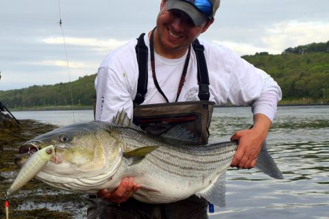 VIDEO: Modifying the Sebile Stick Shadd