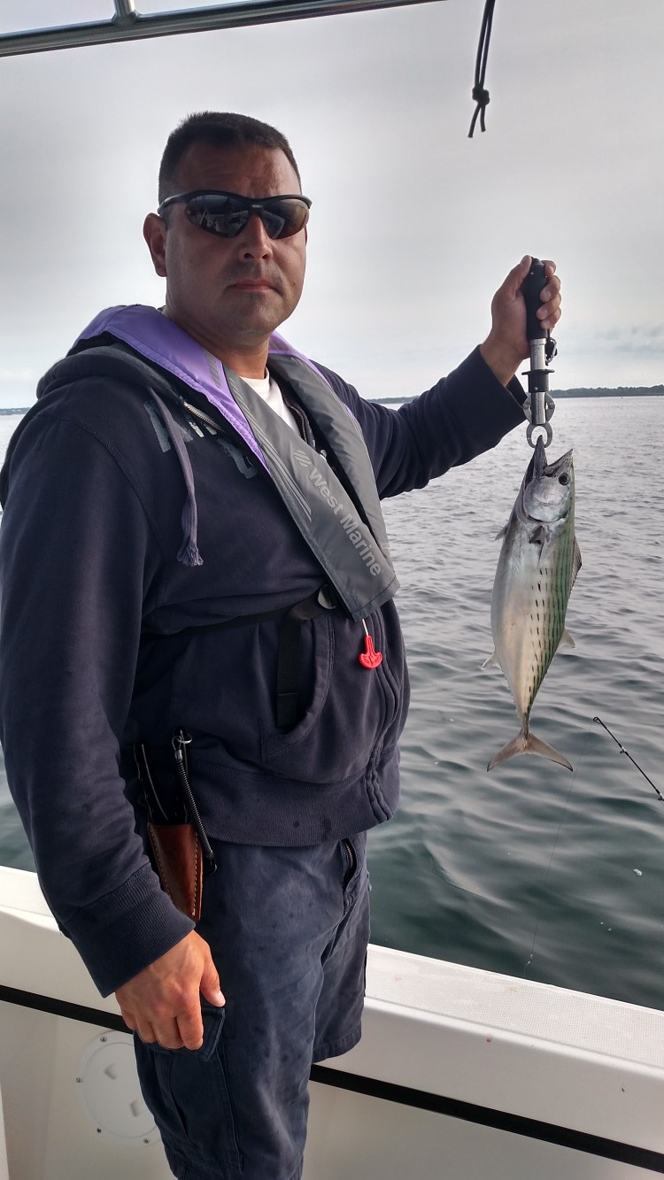 Bob Turcotte caught this surprise bonito while casting into a school of breaking stripers and blues this week. 
