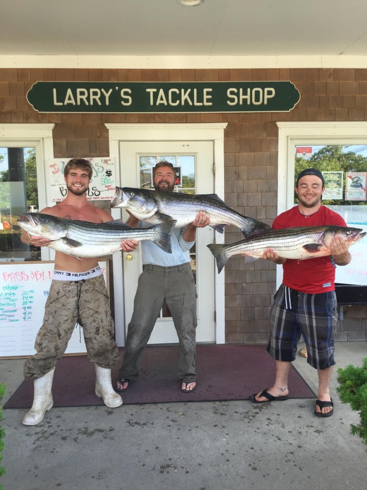 Stripers up to 35 pounds have been caught by boat fishermen around the Vineyard in recent days. 