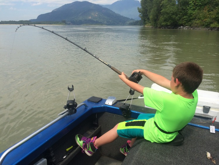 sturgeon keegan fighting