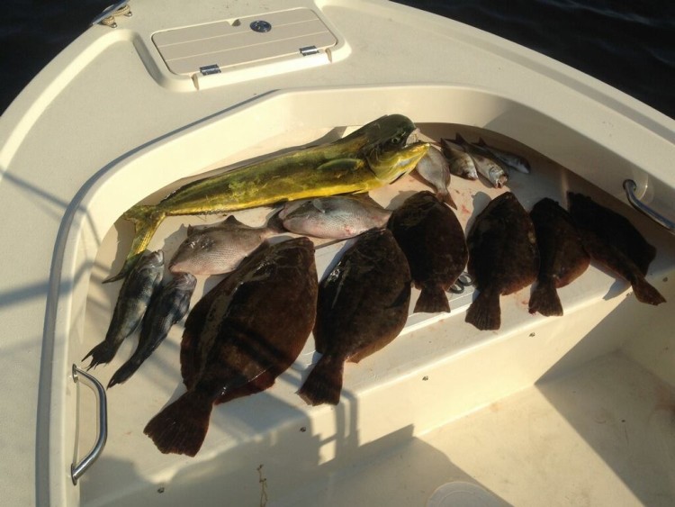 A mixed bag of good-eating fish taken at the reefs recently, as reported by Absecon Bay Sportsman. 