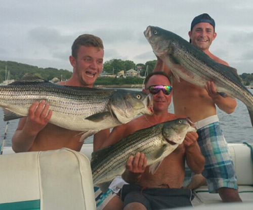 Team Triple Threat comprised of Dan Gray and sons took this nice trio of stripers in Hull