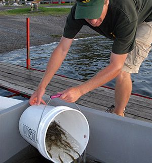 Hackettstown State Fish Hatchery