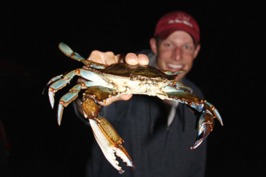 Cooking The Catch 1 and 2