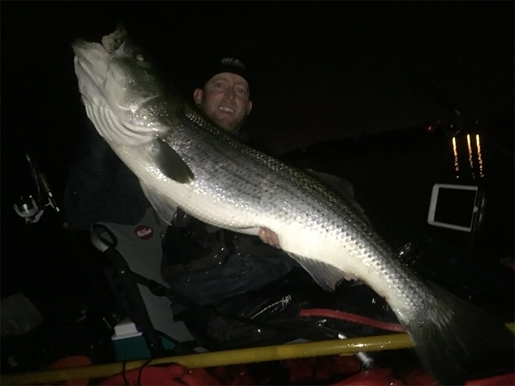 Tim Moore with his personal best 33 pounder he took on an eel in the Piscatagua River area.