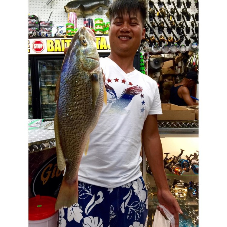 Nice-sized croaker, like this one weighed in at One Stop Bait and Tackle, joined the mix of species off Southern New Jersey this week. 
