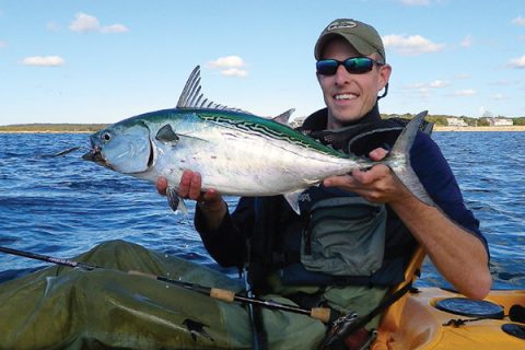 Cape Cod Kayak Albies