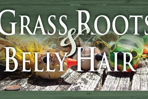 Grass Roots And Belly Hair