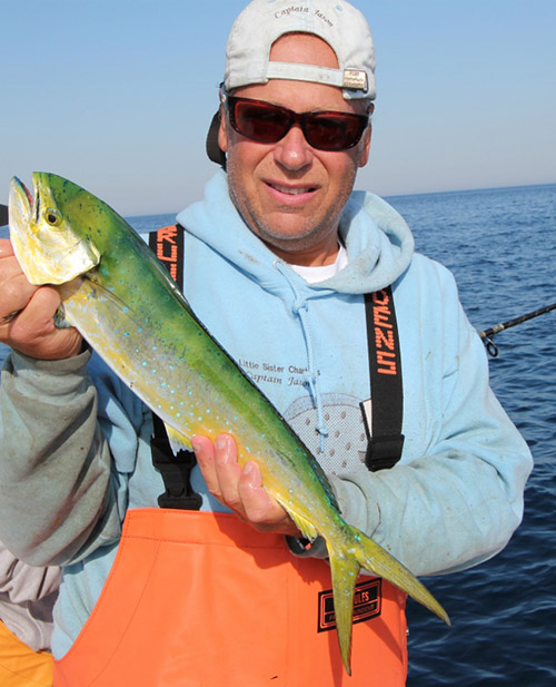 Mahi mahi are hanging around the highfliers south of Westport, Massachusetts.