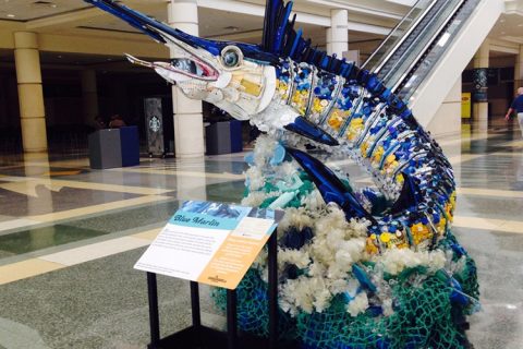 International Coastal Clean Up Day is Saturday, Sept. 19