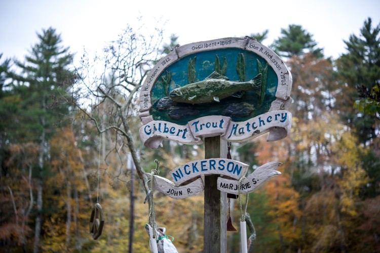 2015_10_Gilbert_Trout_0020