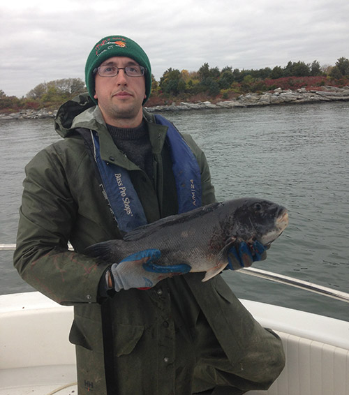 20" tautog caught off hope island in Narragansett bay.
