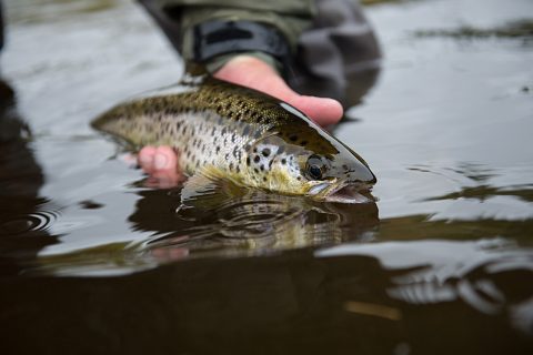 Escaping The Weather in New Hampshire