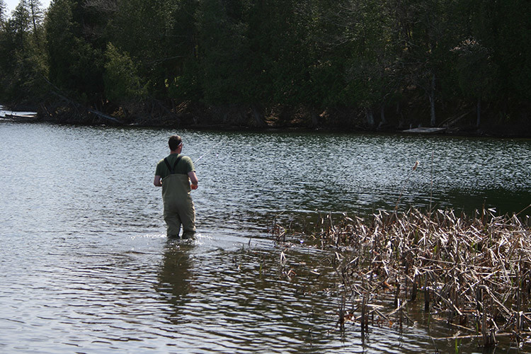 Converse Bay, Vermont