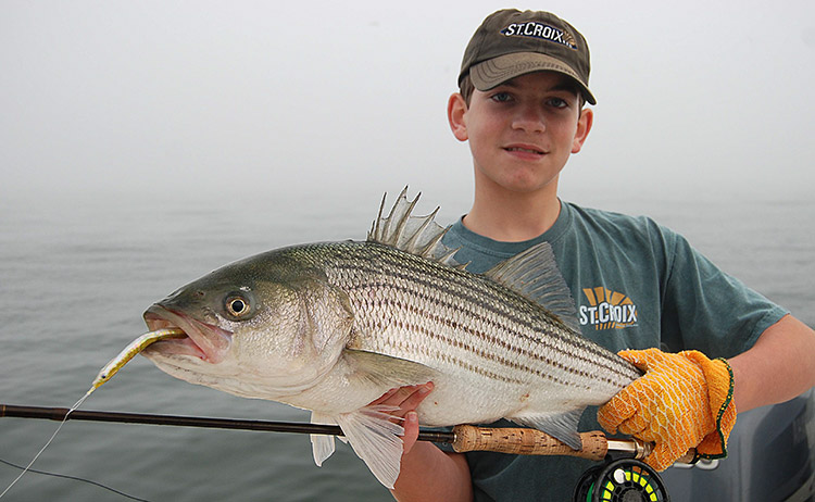 Surfcast fishing for Stripers using Tsunami Shockwave Lures North