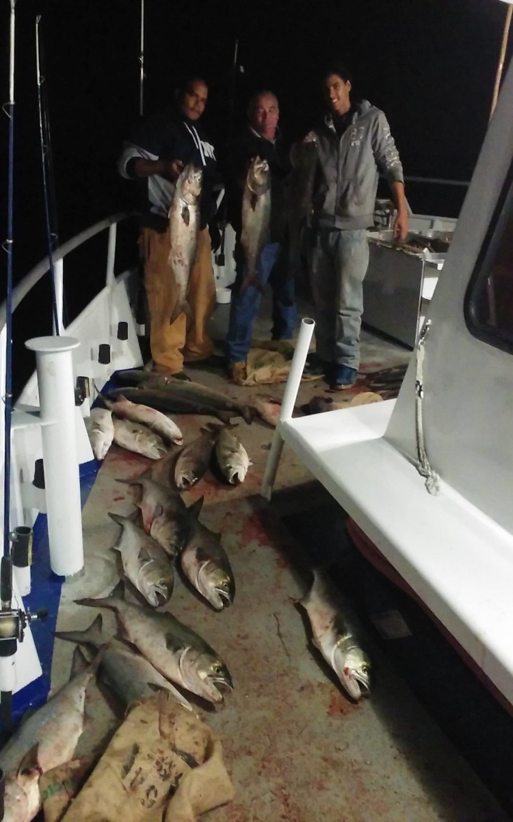 Anglers aboard the Norma K III have been hammering big bluefish. 