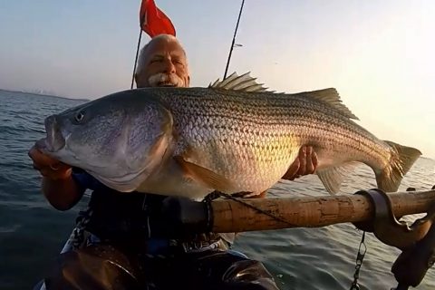 Bomber Longshot Photo Contest Gallery of Winners