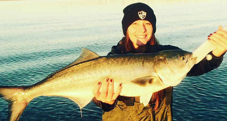 Lauren Salvioli has been landing gator bluefish in Connecticut