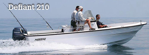 Maritime Defiant 210