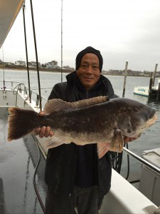 Mike Kwok with a 14.8 tautog taken aboard the Frances Fleet.