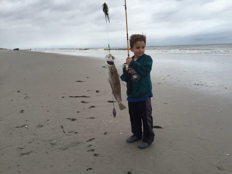 This spotted hake was caught off the beach in Brigantine and brought into Rip Tide Bait and Tackle. 