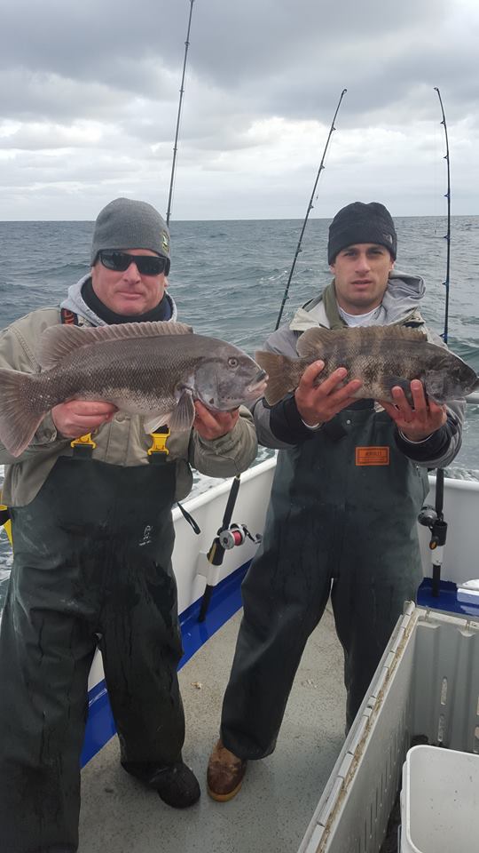The Norma K III continues to put anglers on good numbers of blackfish.