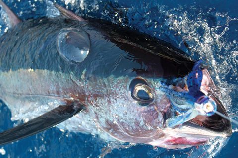 Variety Is The Spice of Life