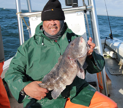 Tog, such as James Warmsley's 8-pounder, are still biting in Westport.