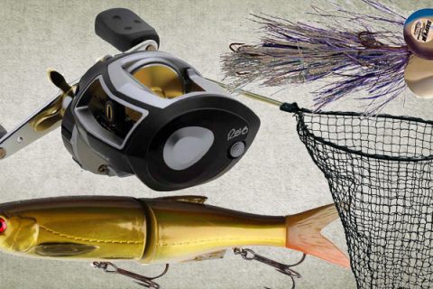 Upgrade: Esox Hunting