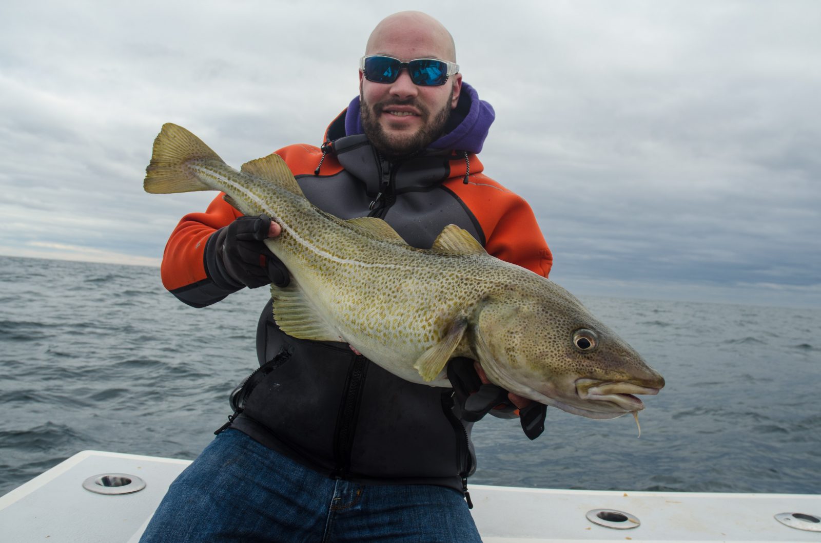 Off To A Good Start – New Year’s Day Codfish Report - On The Water