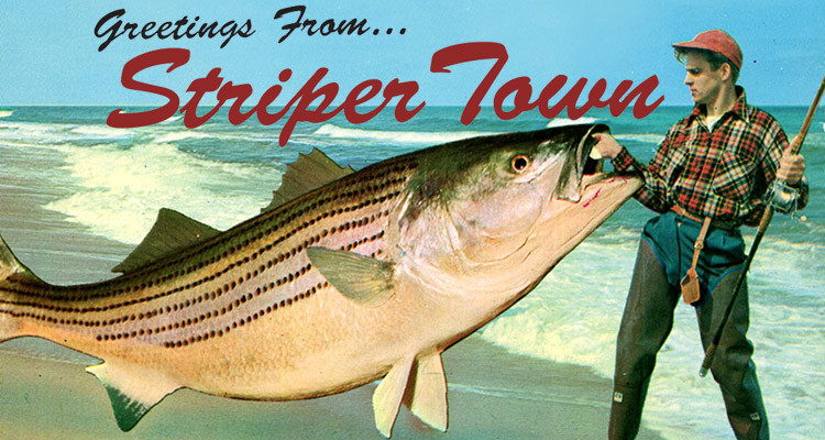 Greetings From Striper Town