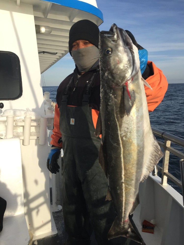 Billy Watson caught this 19-pound pollock aboard the Jamaica II out of Brielle.