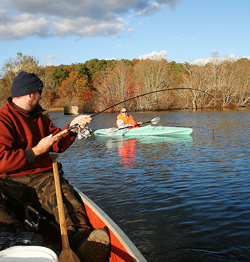 A big largemouth bass makes a last-ditch attempt at gaining freedom by charging at a nearby kayak.