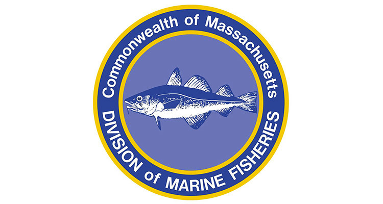 Massachusetts Division of Marine Fisheries