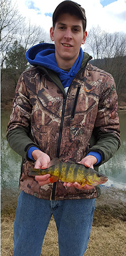 On a recent fishing trip, Nathan Shervinskie and his father caught some Yellow Perch below the Foster Joseph Sayers Lake spillway.