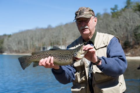 stocked brown trout
