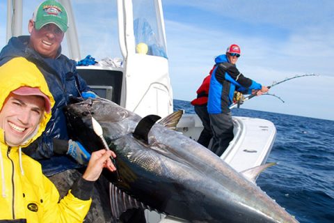 Get Involved: Recreational Bluefin Tuna Survey