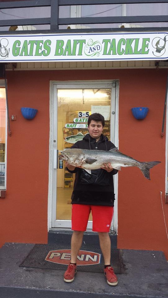 4-28-2016 Gates B&T bluefish