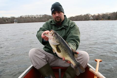 jerk shad largemouth