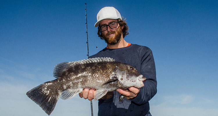 Long, stout conventional rods are needed to hoist shore-caught tautog out and away from line-cutting structure.