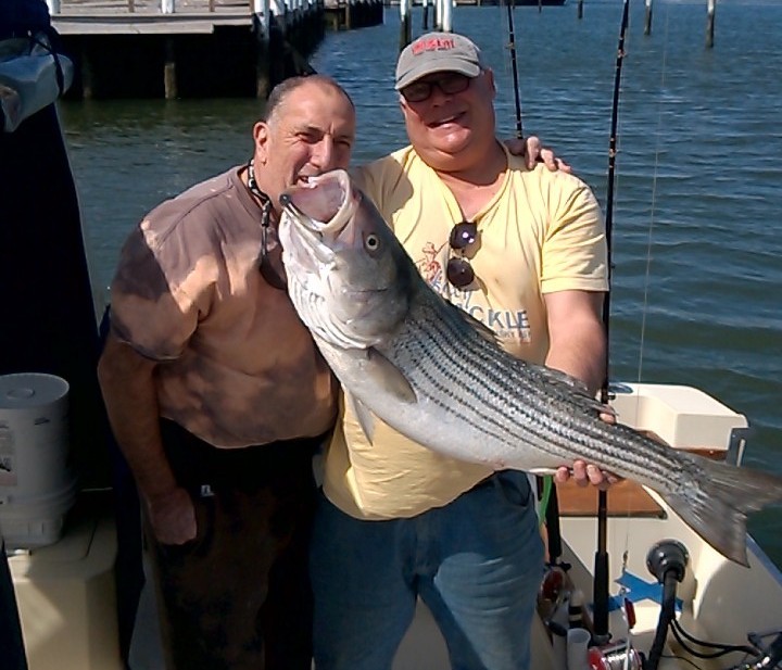 Tom Piazza and Greg Nisito caught this nice striper aboard the PUPA while trolling bunker spoons in 50 feet of water off Debs Inlet. 