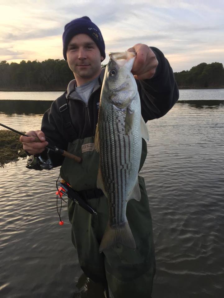 Josh DeJoie hit a mid-Cape backwater for this healthy schoolie.