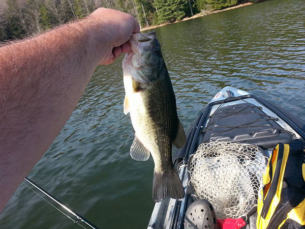 Josh Ditzler caught and released a nice bass